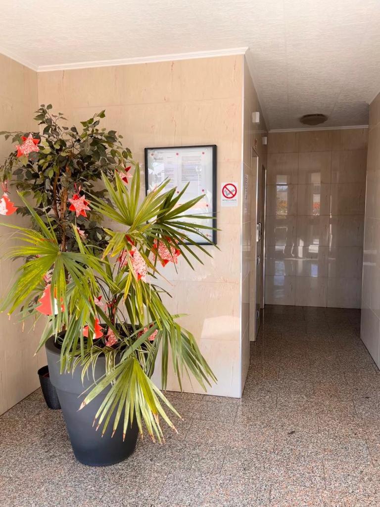 Coco Apartment Bergamo Eksteriør bilde